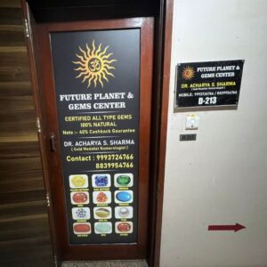 Future-Planet-Gems-Centre-06